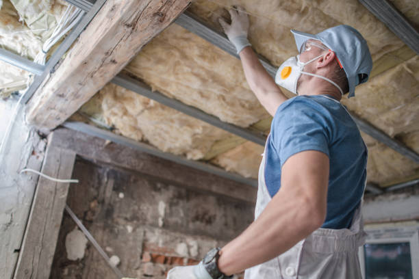 Best Specialized Insulation Services in Dover, OH