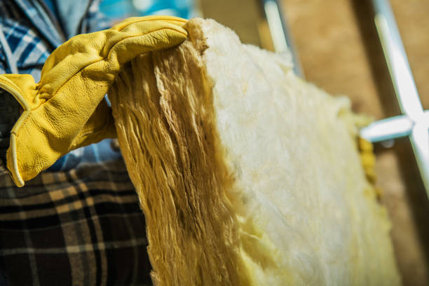 Best Geographic-Specific Insulation Services in Dover, OH